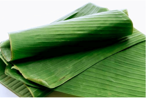 Plantain Leaves