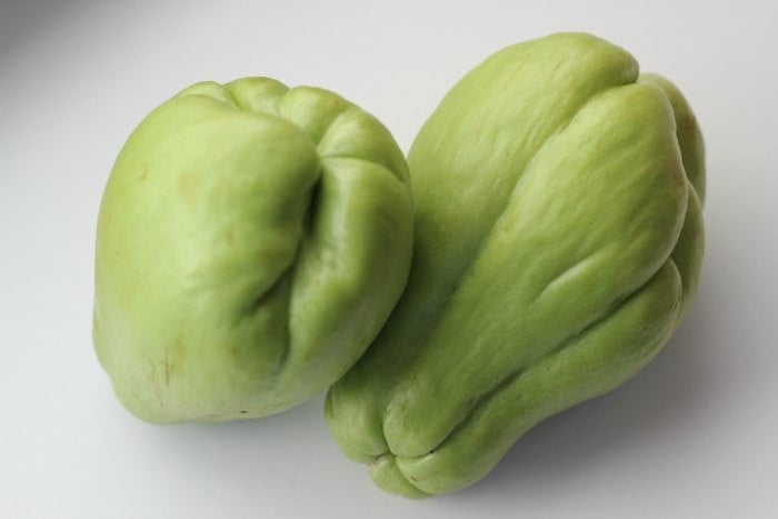 Chayote Squash
