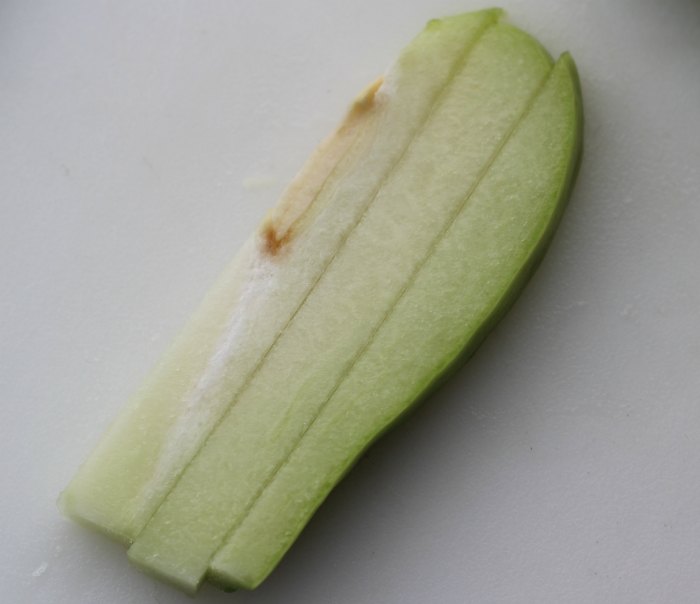 Costa Rican Chayote Recipe