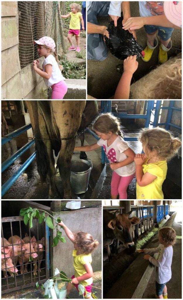 Farm Tour Rancho Margot Costa Rica.