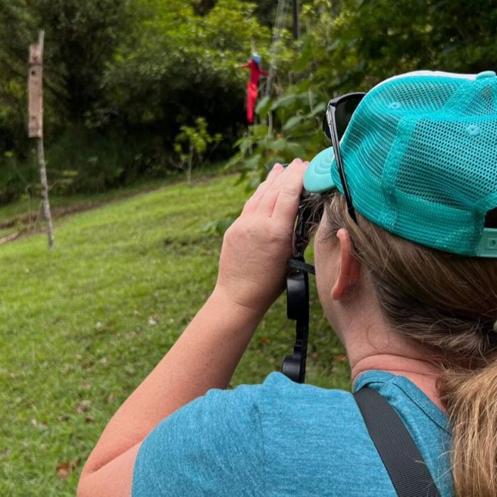 WhatsApp in Costa Rica: How to Use It for Travel