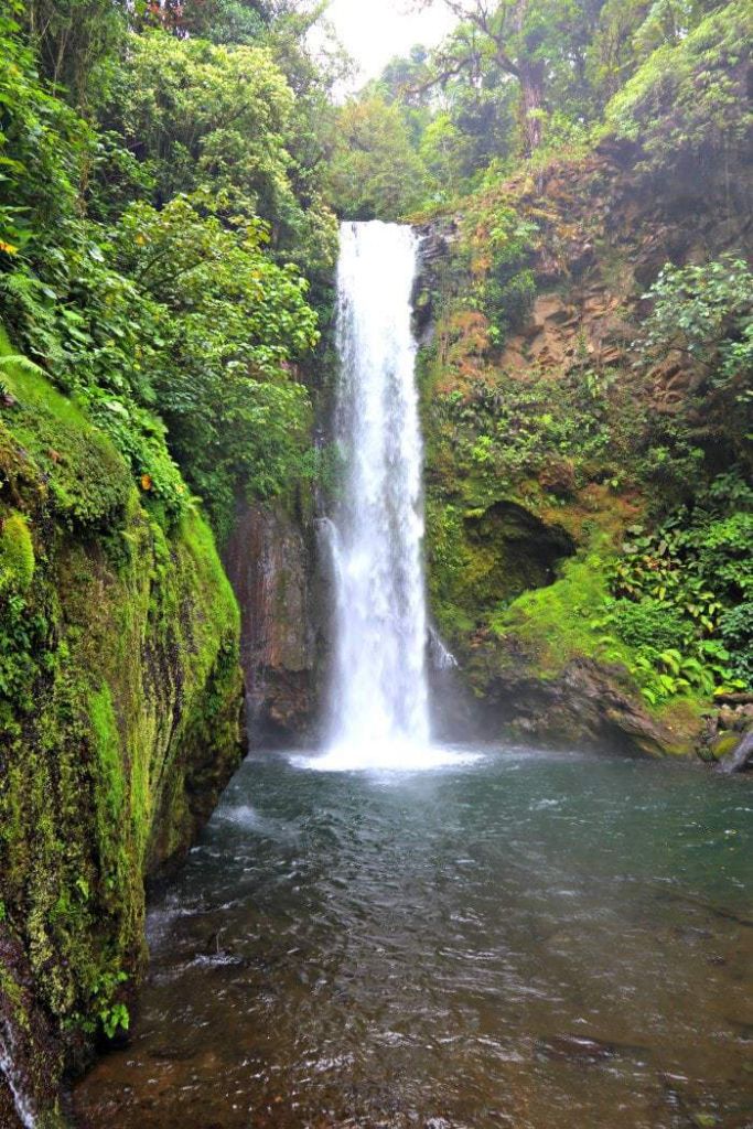 Small waterfall and pool amidst lush foliage, La Paz Waterfall Gardens.