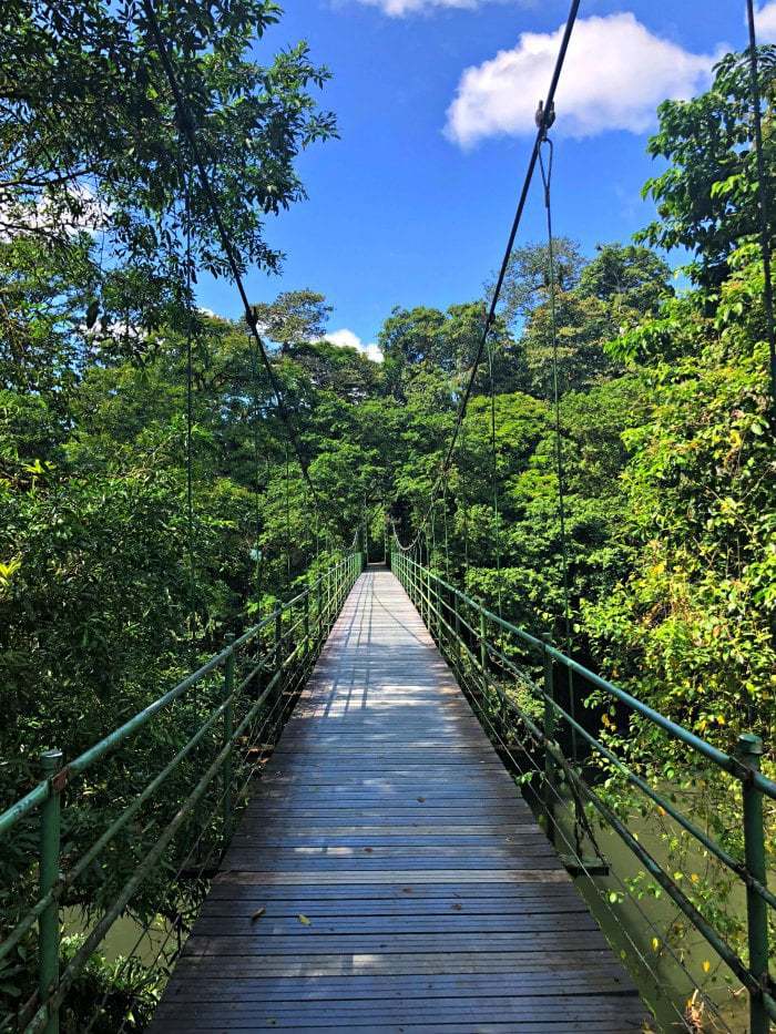 San Jose Costa Rica is the perfect home base for day trips! Our top 25 picks all within a 90-minute drive of the city center. #costarica #familytravel #traveltips #sanjose #daytrip #travel #costarica #puravidamoms